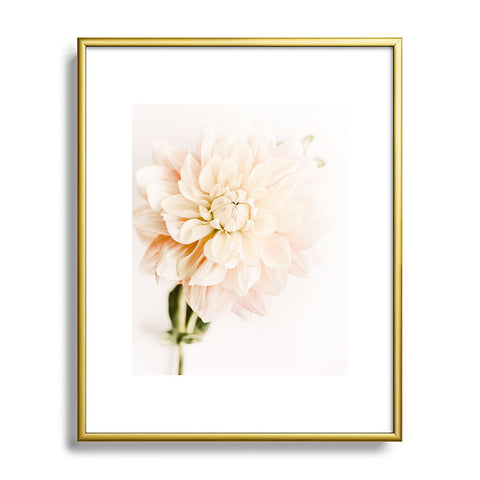 Ingrid Beddoes Vanilla Truffle Dahlia Metal Framed Art Print