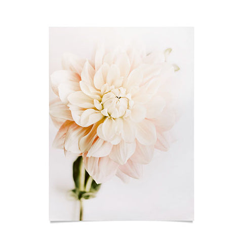 Ingrid Beddoes Vanilla Truffle Dahlia Poster