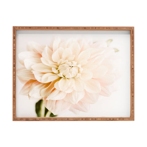 Ingrid Beddoes Vanilla Truffle Dahlia Rectangular Tray
