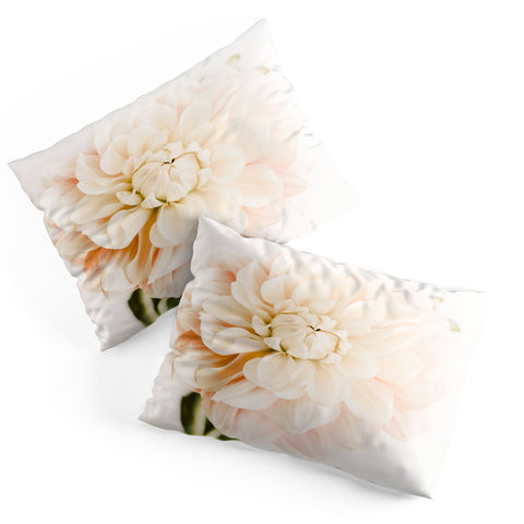 Ingrid Beddoes Vanilla Truffle Dahlia Pillow Shams