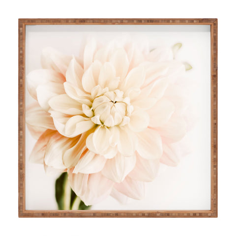 Ingrid Beddoes Vanilla Truffle Dahlia Square Tray