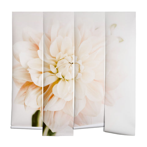 Ingrid Beddoes Vanilla Truffle Dahlia Wall Mural