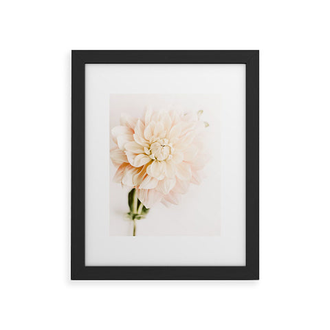 Ingrid Beddoes Vanilla Truffle Dahlia Framed Art Print