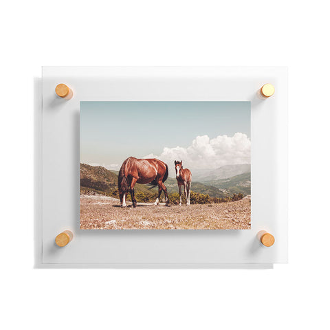Ingrid Beddoes Wild Horses Horse Photography Floating Acrylic Print