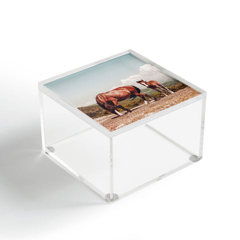 Ingrid Beddoes Wild Horses Horse Photography Acrylic Box