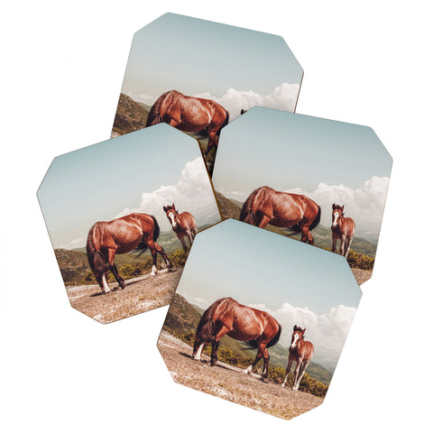 Ingrid Beddoes Wild Horses Horse Photography Coaster Set