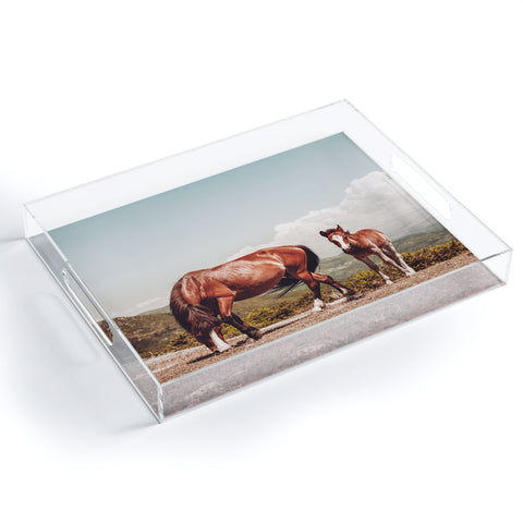 Ingrid Beddoes Wild Horses Horse Photography Acrylic Tray