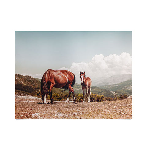 Ingrid Beddoes Wild Horses Horse Photography Poster