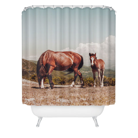 Ingrid Beddoes Wild Horses Horse Photography Shower Curtain