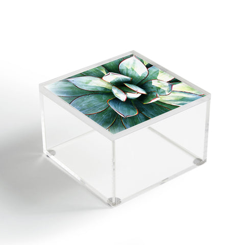 Irena Orlov Delicate Succulent Acrylic Box
