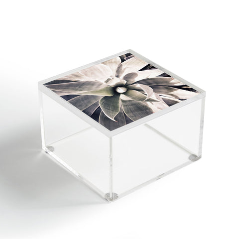 Irena Orlov Grey Succulent I Acrylic Box