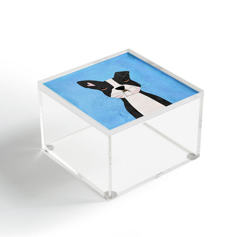 Isa Zapata Boston love Acrylic Box