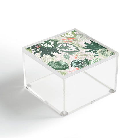 Iveta Abolina Alocasia Garden Green Acrylic Box