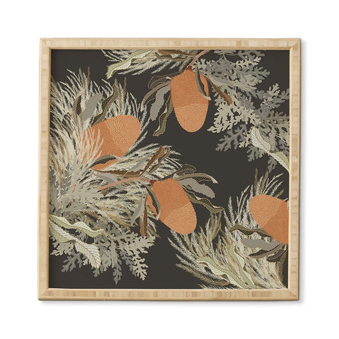 Iveta Abolina Banksia Framed Wall Art