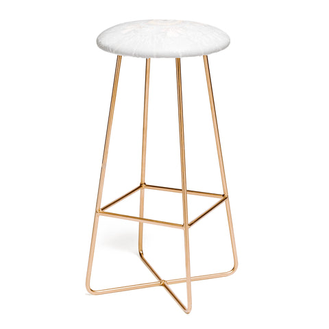 Iveta Abolina Bermuda Rose Bar Stool