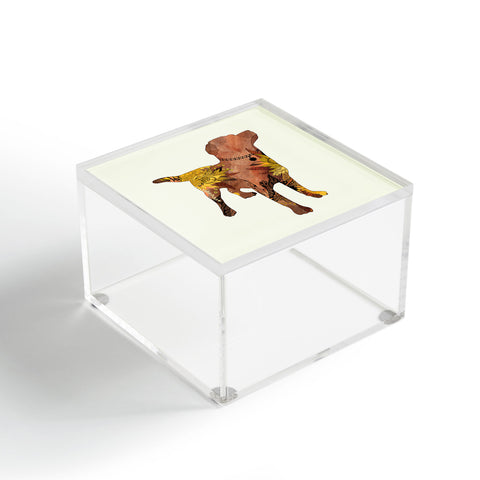 Iveta Abolina Brown Lab Acrylic Box
