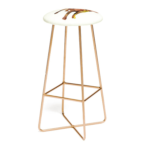 Iveta Abolina Brown Lab Bar Stool