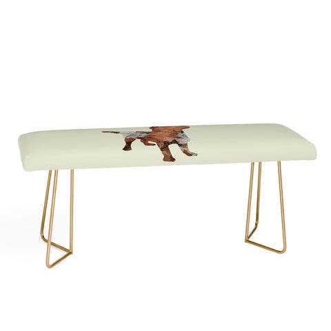 Iveta Abolina Brown Lab Bench