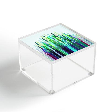 Iveta Abolina Cacti Stripe Acrylic Box