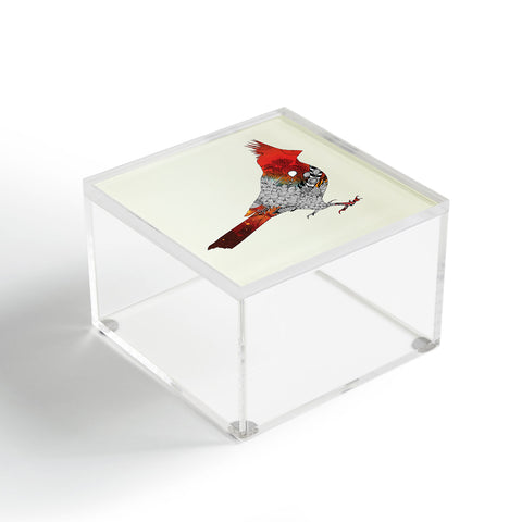 Iveta Abolina Cardinal Acrylic Box