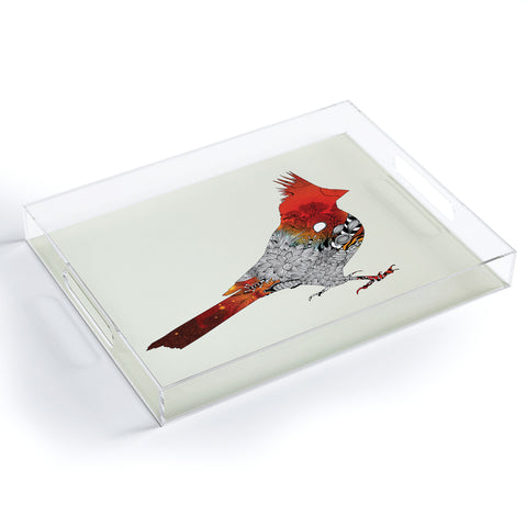 Iveta Abolina Cardinal Acrylic Tray