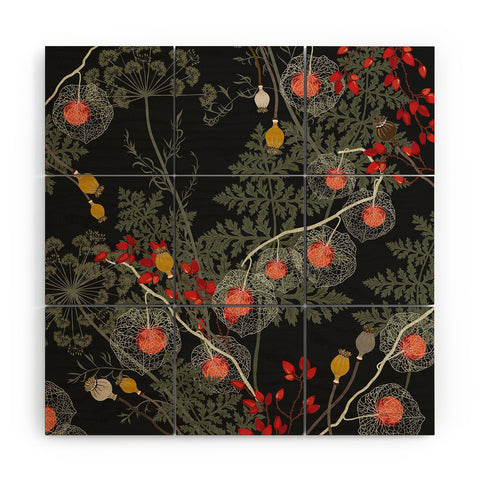 Iveta Abolina Citlali Night Wood Wall Mural