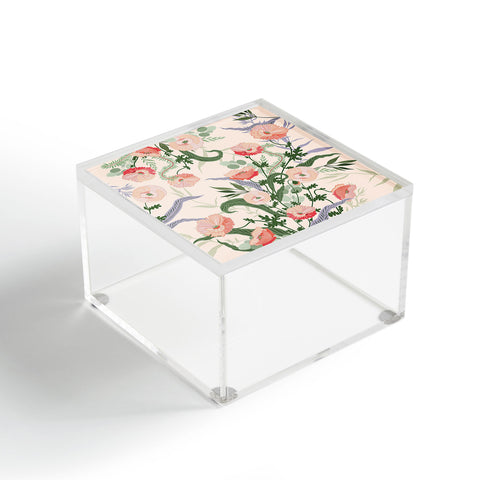 Iveta Abolina Clarette Acrylic Box