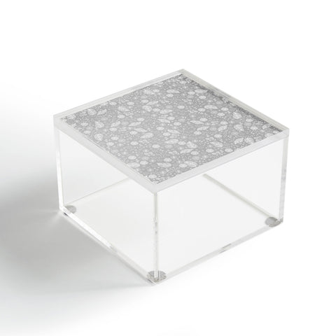 Iveta Abolina Crystalline Water Acrylic Box