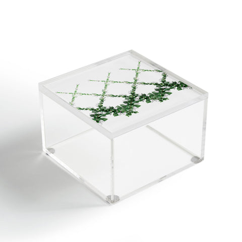 Iveta Abolina Eucalyptus Garland Acrylic Box