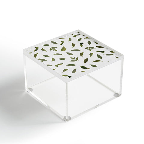 Iveta Abolina Fall Joelle Sage Acrylic Box