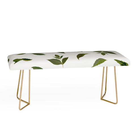 Iveta Abolina Fall Joelle Sage Bench