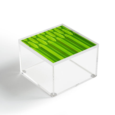 Iveta Abolina Ferntastic Stripe Acrylic Box