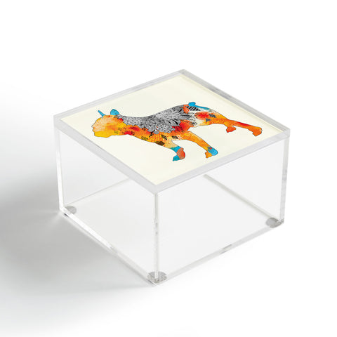 Iveta Abolina Frenchie Acrylic Box