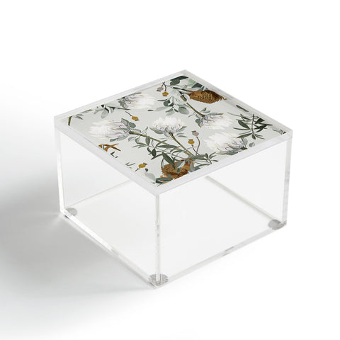 Iveta Abolina Helaine Acrylic Box