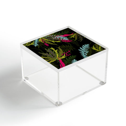 Iveta Abolina Josette Night Acrylic Box
