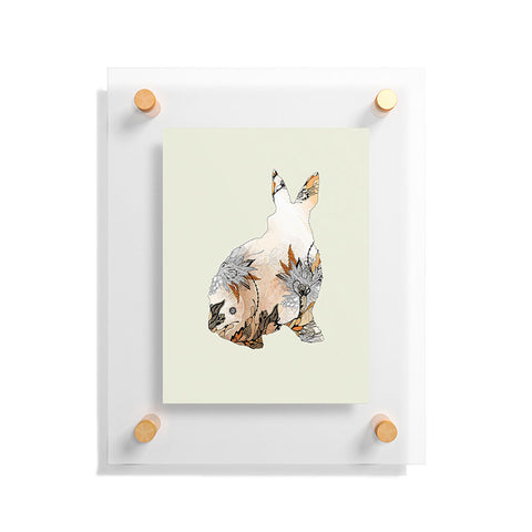 Iveta Abolina Little Rabbit Floating Acrylic Print
