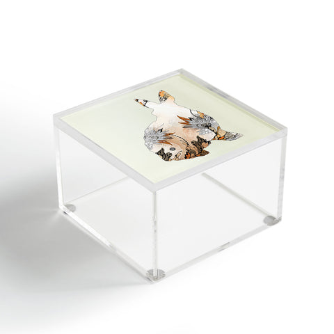 Iveta Abolina Little Rabbit Acrylic Box