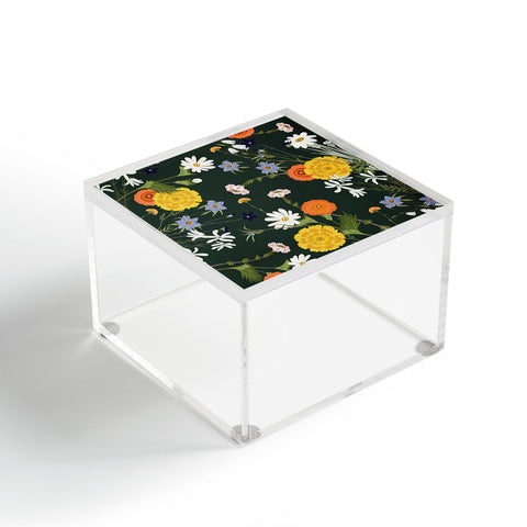 Iveta Abolina Lyonette Acrylic Box