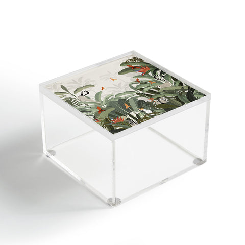 Iveta Abolina Madagascar Palm Acrylic Box