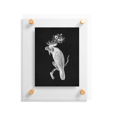 Iveta Abolina Moosebird Floating Acrylic Print