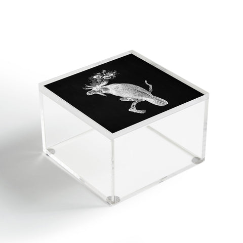 Iveta Abolina Moosebird Acrylic Box
