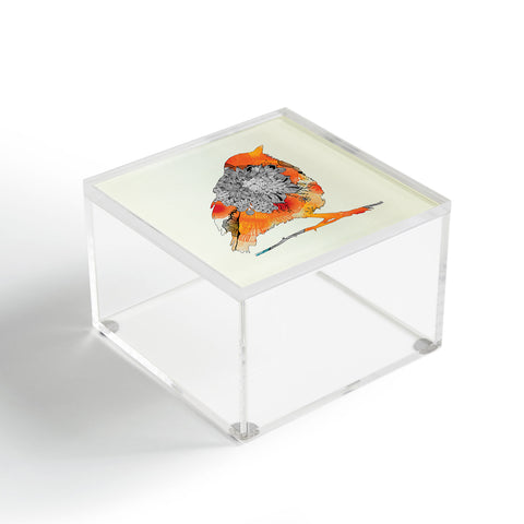 Iveta Abolina Orange Bird Acrylic Box