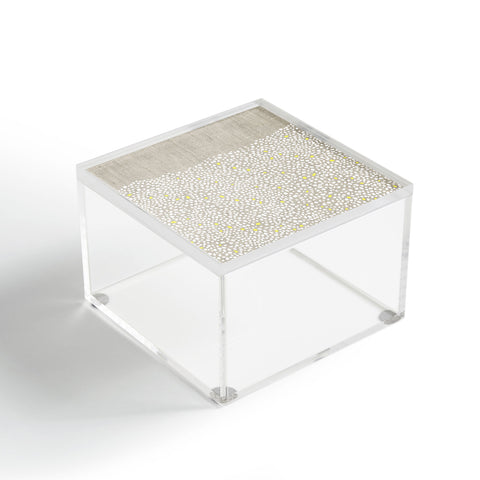 Iveta Abolina Pebbles Acrylic Box