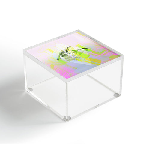 Iveta Abolina Tropical Iceberg Acrylic Box