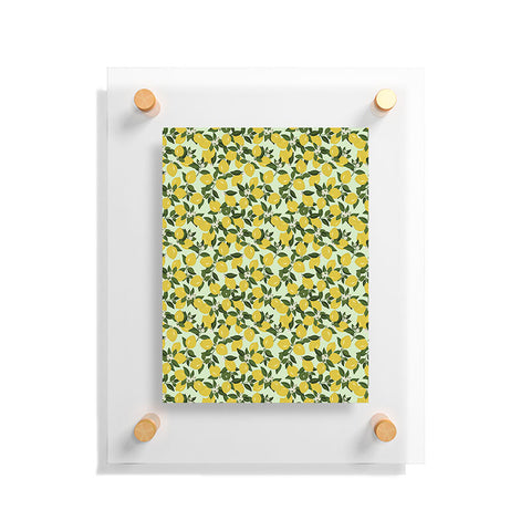 Iveta Abolina Vitamin C Floating Acrylic Print