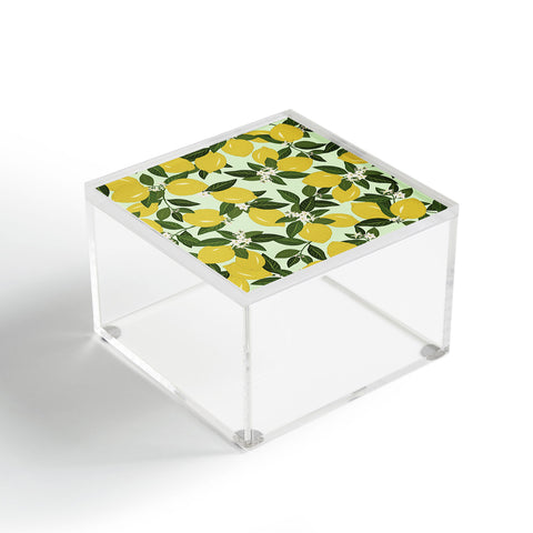 Iveta Abolina Vitamin C Acrylic Box