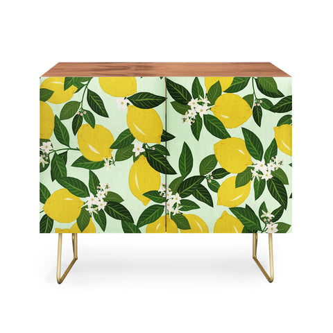 Iveta Abolina Vitamin C Credenza