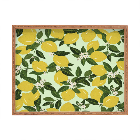 Iveta Abolina Vitamin C Rectangular Tray