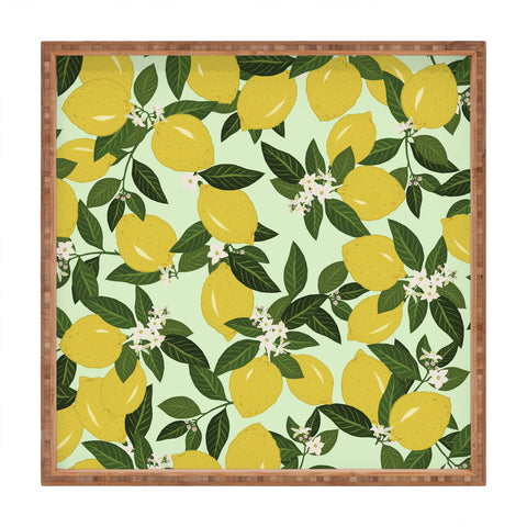 Iveta Abolina Vitamin C Square Tray