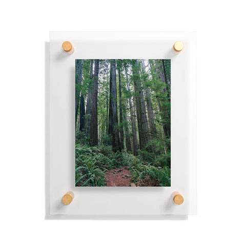 J. Freemond Visuals Among the Giants Floating Acrylic Print